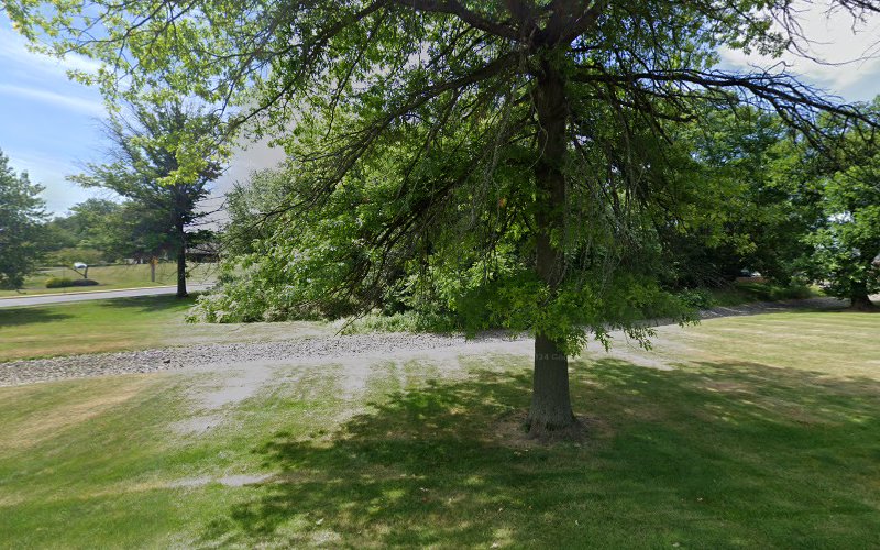 William F. Curtis Arboretum