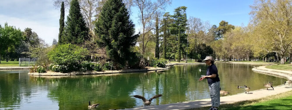 William Land Regional Park Travel Forum Reviews