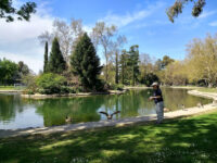 William Land Regional Park Travel Forum Reviews