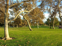 William R Mason Regional Park Travel Forum Reviews