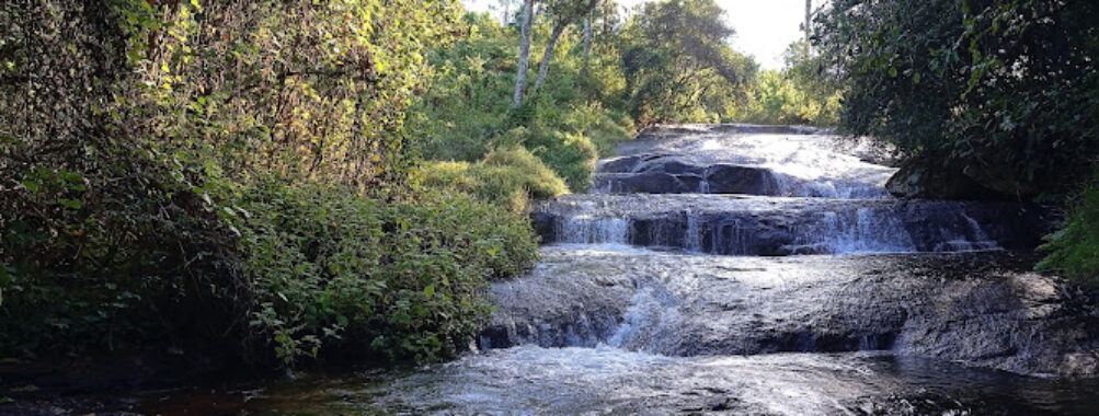 Williams Falls Travel Forum Reviews