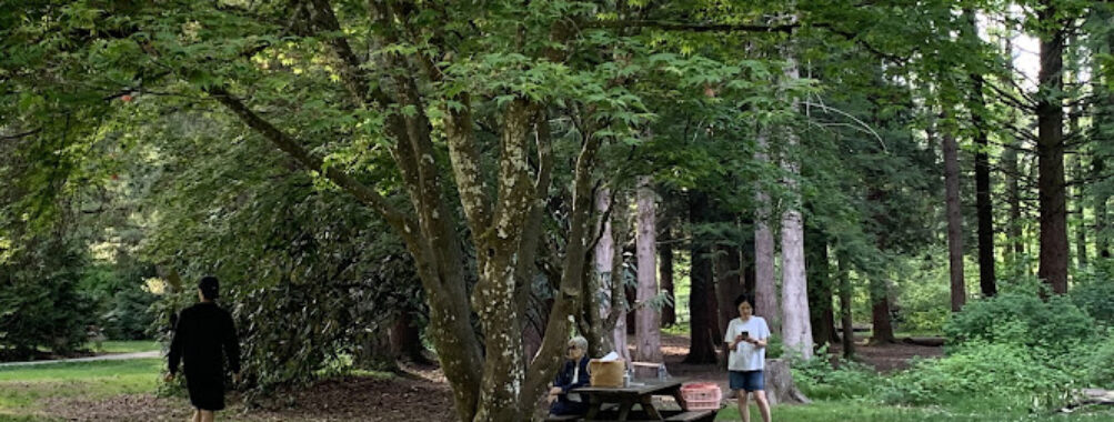 Williams Park Travel Forum Reviews