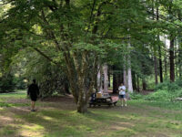 Williams Park Travel Forum Reviews