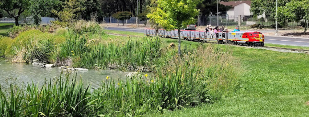 Willow Pass Community Park Travel Forum Reviews