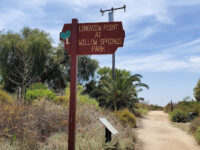 Willow Springs Park - Long Beach Travel Forum Reviews