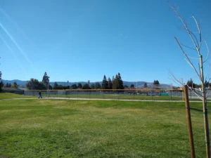Wilson Park