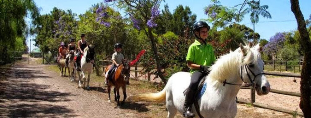 Windstone Trail Rides Travel Forum Reviews