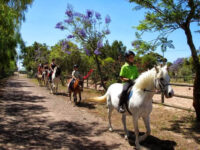 Windstone Trail Rides Travel Forum Reviews