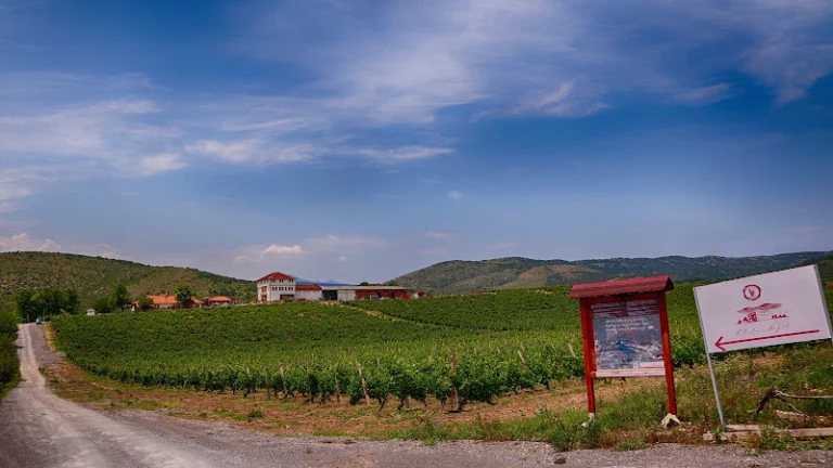 Winery „Chateau Sopot“