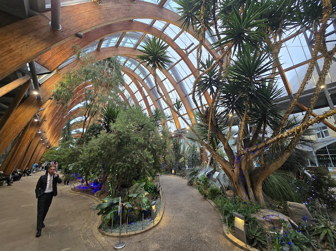 Winter Garden