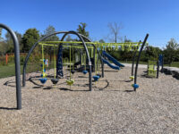 Wise Guys Park Travel Forum Reviews