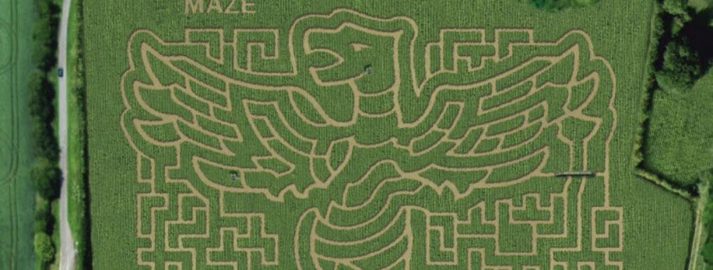 Wistow Maze Travel Forum Reviews