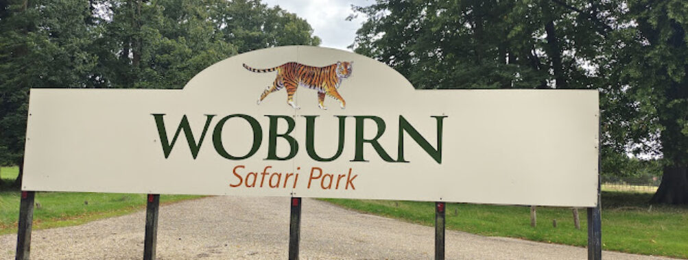 Woburn Safari Park Travel Forum Reviews