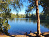 Wolf Lake Park Travel Forum Reviews
