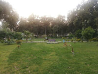 Women and children Park, Sector G Travel Forum Reviews