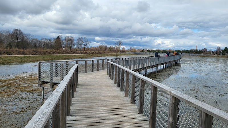 Wooden boardwalks at the flood-land meadows of the River Svēte