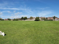 Woodfield Park Travel Forum Reviews