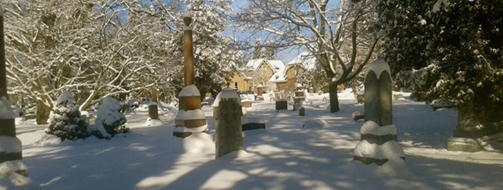 Woodlawn Memorial Park Travel Forum Reviews