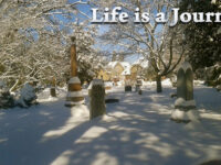 Woodlawn Memorial Park Travel Forum Reviews