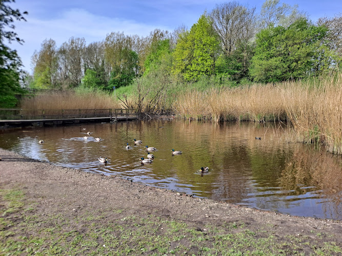 Woolston Park