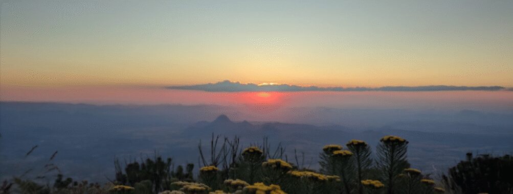 Worlds View Travel Forum Reviews