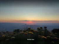 Worlds View Travel Forum Reviews