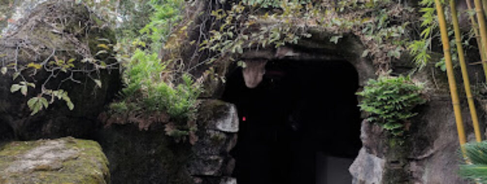 Wuyi Snake Garden Travel Forum Reviews