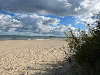 Wydmy w Sopocie Travel Forum Reviews