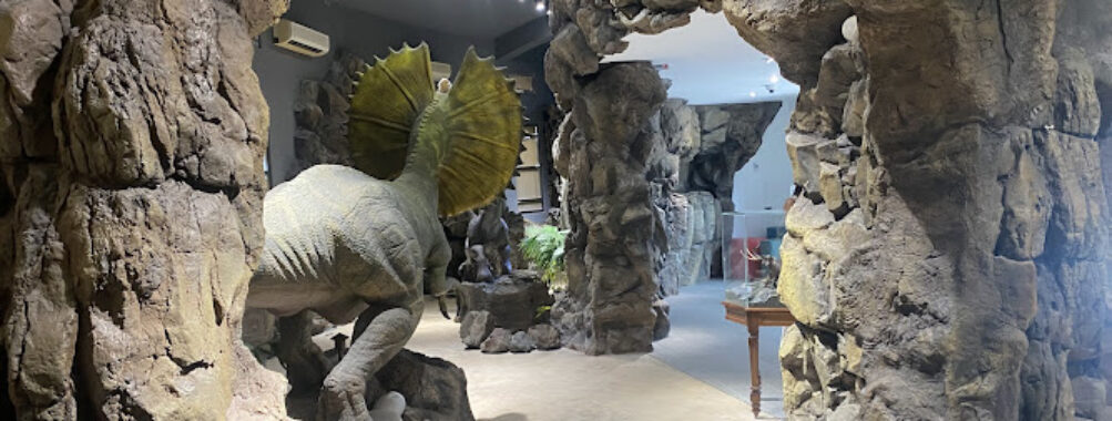 Xiaomen Geological Museum Travel Forum Reviews