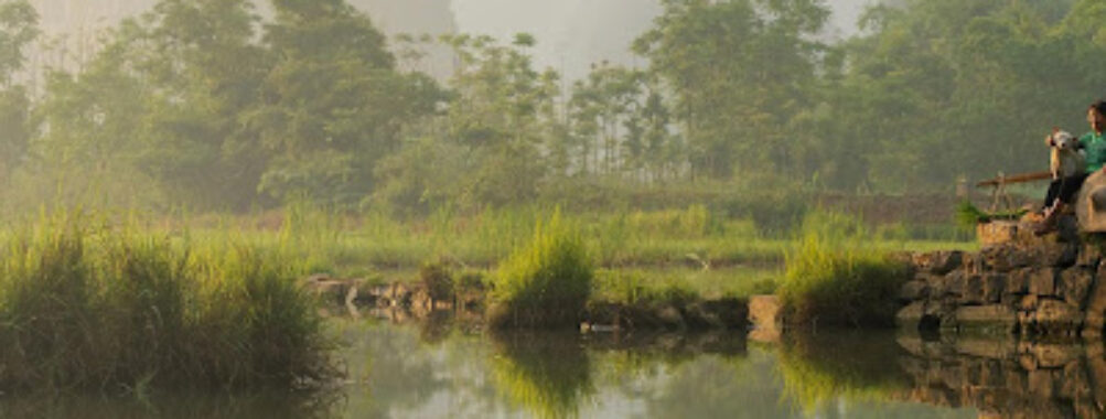 Xiping County Travel Forum Reviews