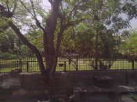 Yaarana park Travel Forum Reviews