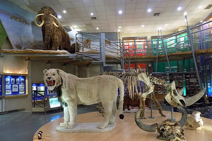 Yakutsk Regional History Museum