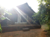 Yala Safari Holidays Travel Forum Reviews