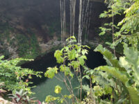 Yalcón Park Travel Forum Reviews