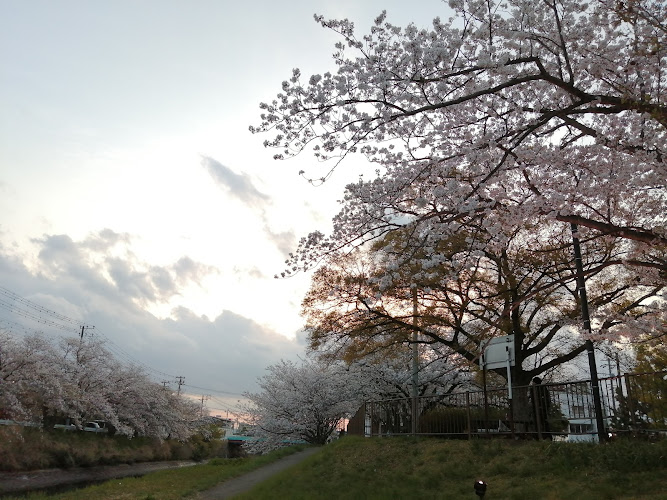 Yanagawa Park