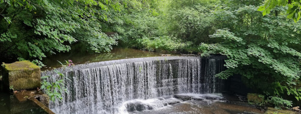 Yarrow Valley Country Park Travel Forum Reviews