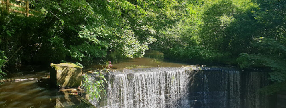 Yarrow Valley Weir Travel Forum Reviews