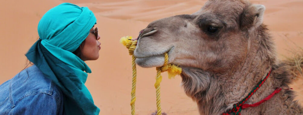 Yasmina Morocco Tours Travel Forum Reviews