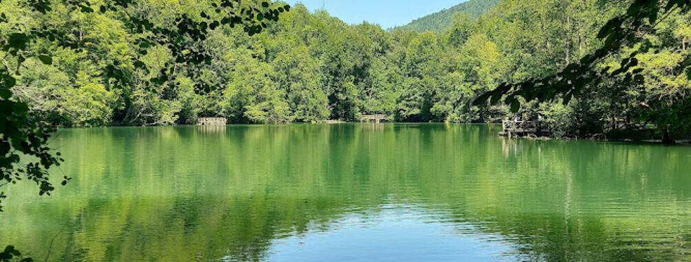 Yedigöller National Park Travel Forum Reviews