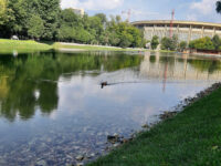 Yekaterininskiy Park Travel Forum Reviews
