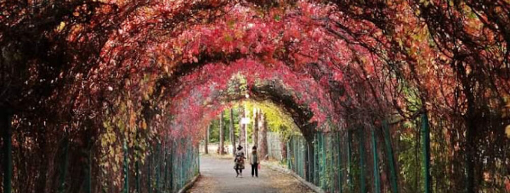 Yerevan Botanical Garden Travel Forum Reviews