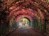 Yerevan Botanical Garden Travel Forum Reviews
