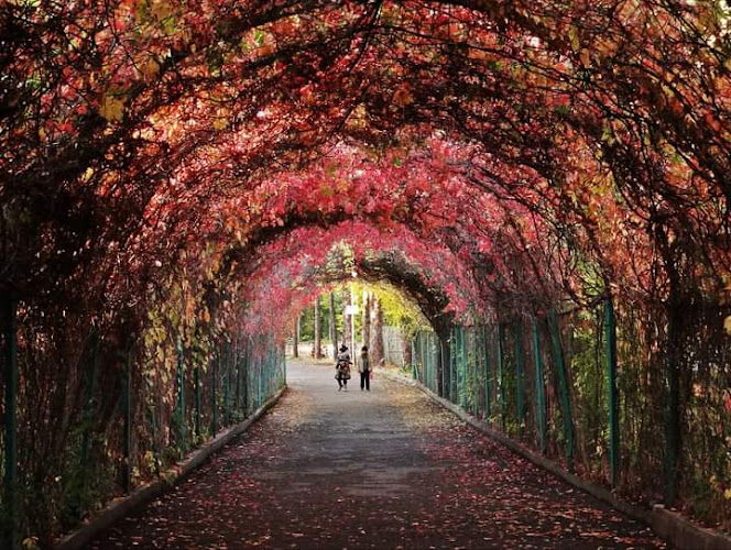 Yerevan Botanical Garden