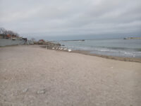 Yes Beach Constanta Travel Forum Reviews