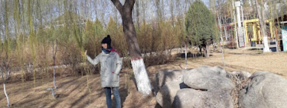 Yishui Park Travel Forum Reviews