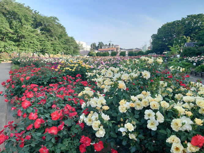 Yono Park
