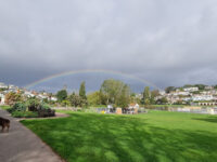 Young's Park Travel Forum Reviews
