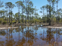 Yucca Pens Unit State Wildlife Management Area Travel Forum Reviews