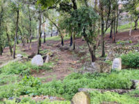 Yuddha Park, Kirtipur Travel Forum Reviews