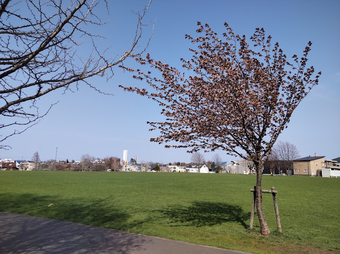 Yukawa Park